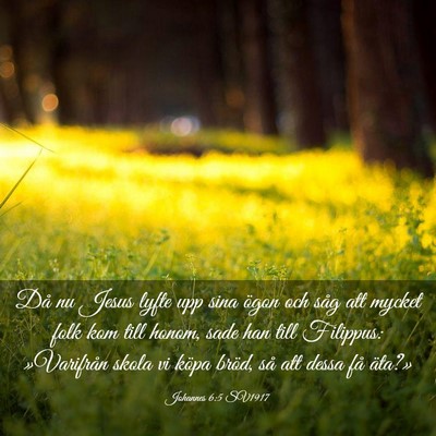 Picture 03 - Johannes 6:5 SV1917 - Då nu Jesus lyfte upp sina ögon och såg att - Bible Verse Picture