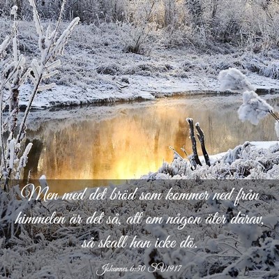 Picture 03 - Johannes 6:50 SV1917 - Men med det bröd som kommer ned från himmelen - Bible Verse Picture