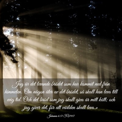 Picture 03 - Johannes 6:51 SV1917 - Jag är det levande brödet som har kommit ned - Bible Verse Picture