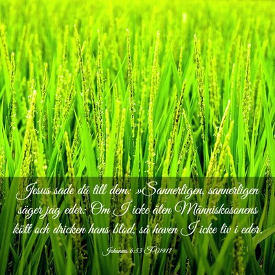 Picture 03 - Johannes 6:53 SV1917 - Jesus sade då till dem: »Sannerligen, - Bible Verse Picture