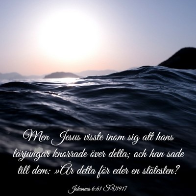 Picture 03 - Johannes 6:61 SV1917 - Men Jesus visste inom sig att hans lärjungar - Bible Verse Picture