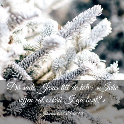 Picture 03 - Johannes 6:67 SV1917 - Då sade Jesus till de tolv: »Icke viljen väl - Bible Verse Picture
