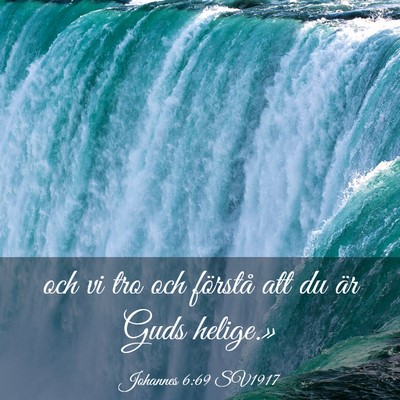 Picture 03 - Johannes 6:69 SV1917 - och vi tro och förstå att du är Guds - Bible Verse Picture