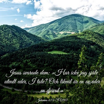 Picture 03 - Johannes 6:70 SV1917 - Jesus svarade dem: »Har icke jag själv utvalt - Bible Verse Picture