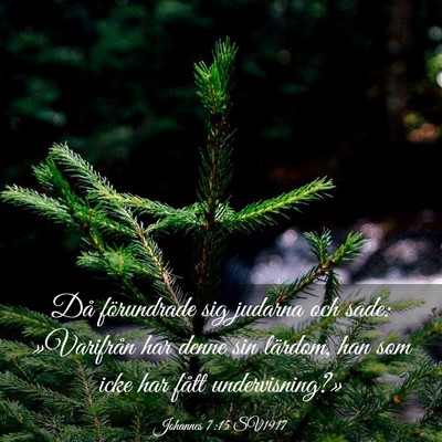 Picture 03 - Johannes 7:15 SV1917 - Då förundrade sig judarna och sade: »Varifrån - Bible Verse Picture