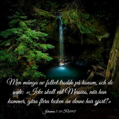 Picture 03 - Johannes 7:31 SV1917 - Men många av folket trodde på honom, och de - Bible Verse Picture