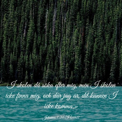 Picture 03 - Johannes 7:34 SV1917 - I skolen då söka efter mig, men I skolen icke - Bible Verse Picture