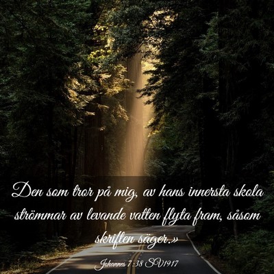 Picture 03 - Johannes 7:38 SV1917 - Den som tror på mig, av hans innersta skola - Bible Verse Picture