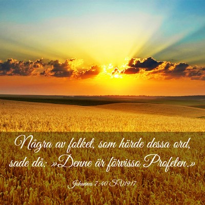 Picture 03 - Johannes 7:40 SV1917 - Några av folket, som hörde dessa ord, sade då: - Bible Verse Picture