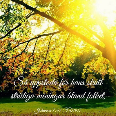 Picture 03 - Johannes 7:43 SV1917 - Så uppstodo för hans skull stridiga meningar - Bible Verse Picture