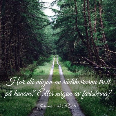 Picture 03 - Johannes 7:48 SV1917 - Har då någon av rådsherrarna trott på honom? - Bible Verse Picture