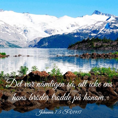 Picture 03 - Johannes 7:5 SV1917 - Det var nämligen så, att icke ens hans bröder - Bible Verse Picture