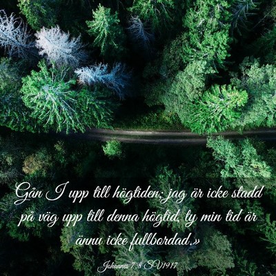 Picture 03 - Johannes 7:8 SV1917 - Gån I upp till högtiden; jag är icke stadd på - Bible Verse Picture