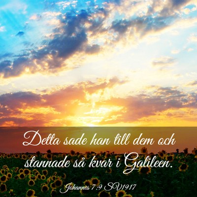 Picture 03 - Johannes 7:9 SV1917 - Detta sade han till dem och stannade så kvar i - Bible Verse Picture