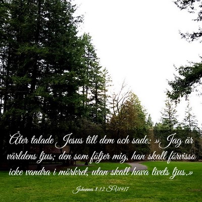 Picture 03 - Johannes 8:12 SV1917 - Åter talade Jesus till dem och sade: »Jag är - Bible Verse Picture