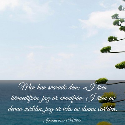 Picture 03 - Johannes 8:23 SV1917 - Men han svarade dem: »I ären härnedifrån, jag - Bible Verse Picture