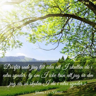 Picture 03 - Johannes 8:24 SV1917 - Därför sade jag till eder att I skullen dö i - Bible Verse Picture