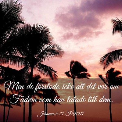 Picture 03 - Johannes 8:27 SV1917 - Men de förstodo icke att det var om Fadern som - Bible Verse Picture