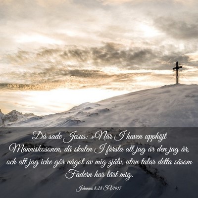 Picture 03 - Johannes 8:28 SV1917 - Då sade Jesus: »När I haven upphöjt - Bible Verse Picture