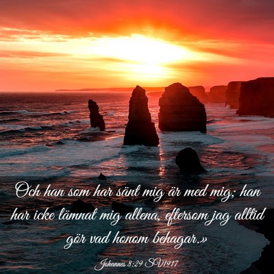 Picture 03 - Johannes 8:29 SV1917 - Och han som har sänt mig är med mig; han har - Bible Verse Picture