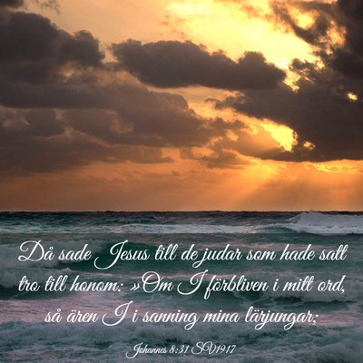 Picture 03 - Johannes 8:31 SV1917 - Då sade Jesus till de judar som hade satt tro - Bible Verse Picture