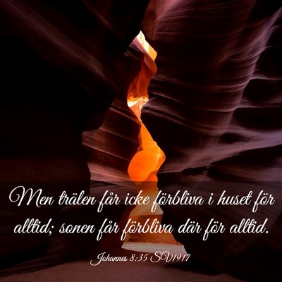 Picture 03 - Johannes 8:35 SV1917 - Men trälen får icke förbliva i huset för - Bible Verse Picture