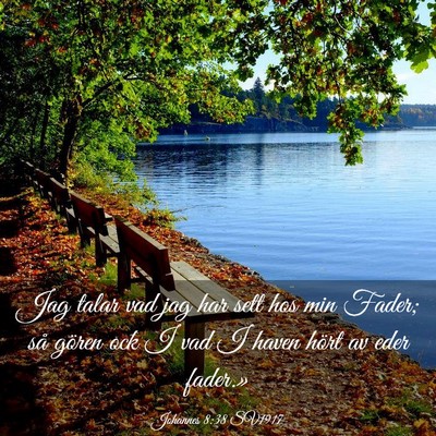 Picture 03 - Johannes 8:38 SV1917 - Jag talar vad jag har sett hos min Fader; så - Bible Verse Picture