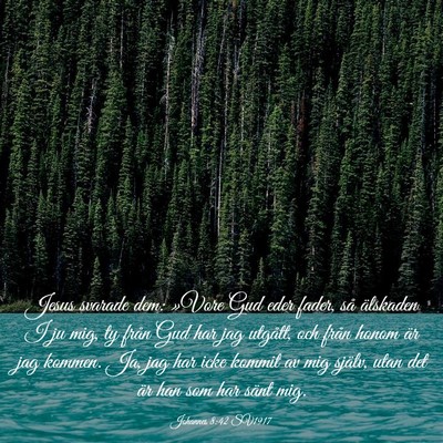 Picture 03 - Johannes 8:42 SV1917 - Jesus svarade dem: »Vore Gud eder fader, så - Bible Verse Picture