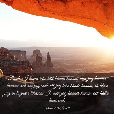 Picture 03 - Johannes 8:55 SV1917 - Dock, I haven icke lärt känna honom, men jag - Bible Verse Picture