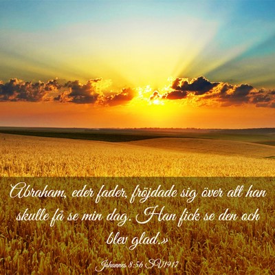 Picture 03 - Johannes 8:56 SV1917 - Abraham, eder fader, fröjdade sig över att han - Bible Verse Picture