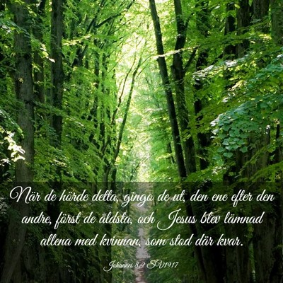 Picture 03 - Johannes 8:9 SV1917 - När de hörde detta, gingo de ut, den ene efter - Bible Verse Picture