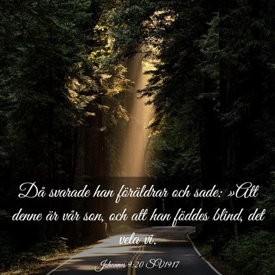 Picture 03 - Johannes 9:20 SV1917 - Då svarade han föräldrar och sade: »Att denne - Bible Verse Picture