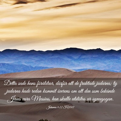 Picture 03 - Johannes 9:22 SV1917 - Detta sade hans föräldrar, därför att de - Bible Verse Picture