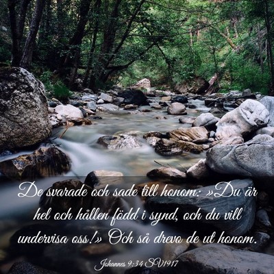 Picture 03 - Johannes 9:34 SV1917 - De svarade och sade till honom: »Du är hel och - Bible Verse Picture