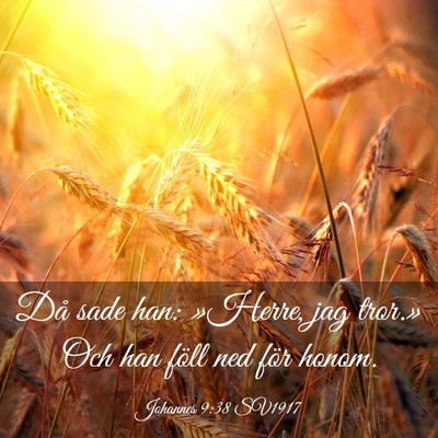 Picture 03 - Johannes 9:38 SV1917 - Då sade han: »Herre, jag tror.» Och han föll - Bible Verse Picture
