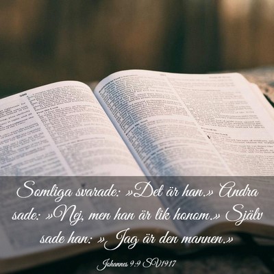 Picture 03 - Johannes 9:9 SV1917 - Somliga svarade: »Det är han.» Andra sade: - Bible Verse Picture