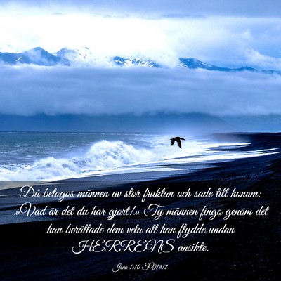 Picture 03 - Jona 1:10 SV1917 - Då betogos männen av stor fruktan och sade till - Bible Verse Picture
