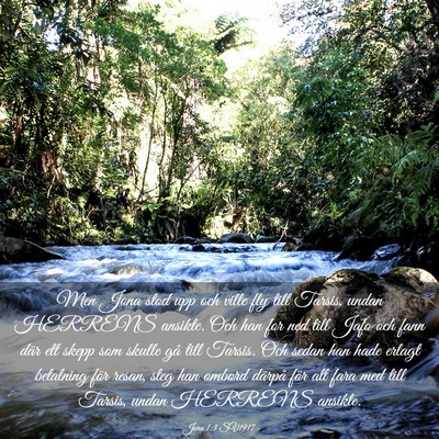 Picture 03 - Jona 1:3 SV1917 - Men Jona stod upp och ville fly till Tarsis, - Bible Verse Picture