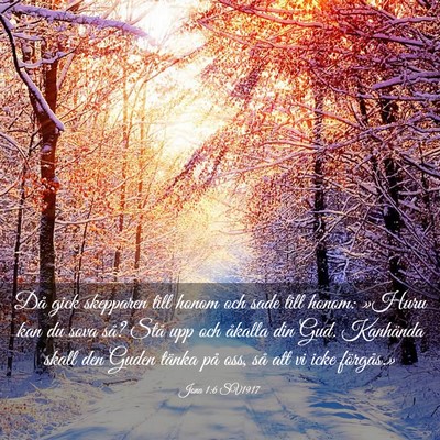 Picture 03 - Jona 1:6 SV1917 - Då gick skepparen till honom och sade till - Bible Verse Picture