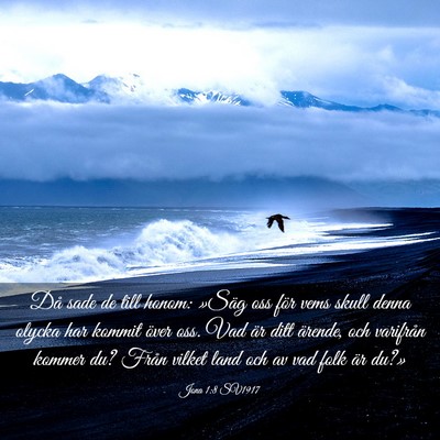 Picture 03 - Jona 1:8 SV1917 - Då sade de till honom: »Säg oss för vems - Bible Verse Picture