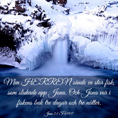 Picture 03 - Jona 2:1 SV1917 - Men HERREN sände en stor fisk, som slukade upp - Bible Verse Picture