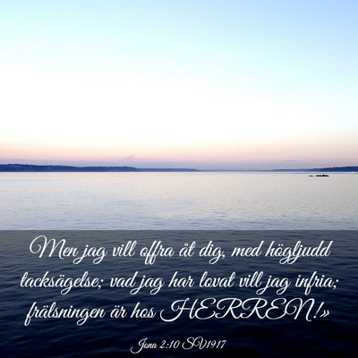 Picture 03 - Jona 2:10 SV1917 - Men jag vill offra åt dig, med högljudd - Bible Verse Picture