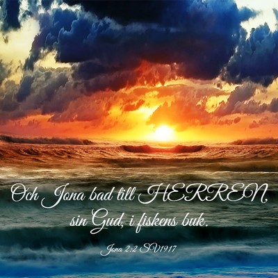 Picture 03 - Jona 2:2 SV1917 - Och Jona bad till HERREN, sin Gud, i fiskens - Bible Verse Picture