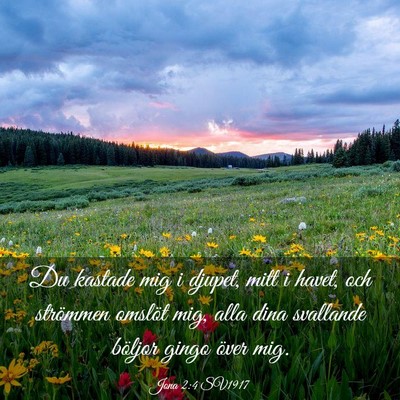 Picture 03 - Jona 2:4 SV1917 - Du kastade mig i djupet, mitt i havet, och - Bible Verse Picture