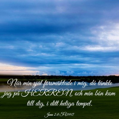 Picture 03 - Jona 2:8 SV1917 - När min själ försmäktade i mig, då tänkte - Bible Verse Picture
