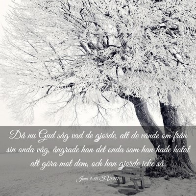 Picture 03 - Jona 3:10 SV1917 - Då nu Gud såg vad de gjorde, att de vände om - Bible Verse Picture