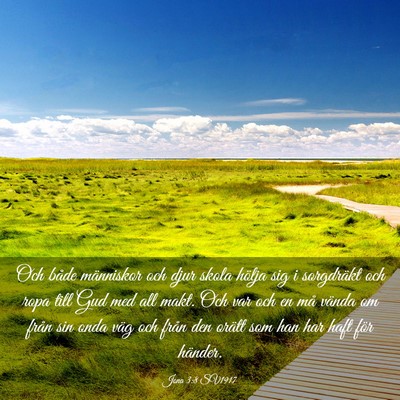 Picture 03 - Jona 3:8 SV1917 - Och både människor och djur skola hölja sig i - Bible Verse Picture