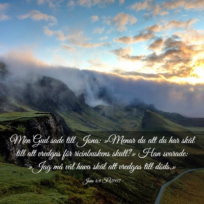 Picture 03 - Jona 4:9 SV1917 - Men Gud sade till Jona: »Menar du att du har - Bible Verse Picture