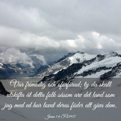 Picture 03 - Josua 1:6 SV1917 - Var frimodig och oförfärad; ty du skall - Bible Verse Picture