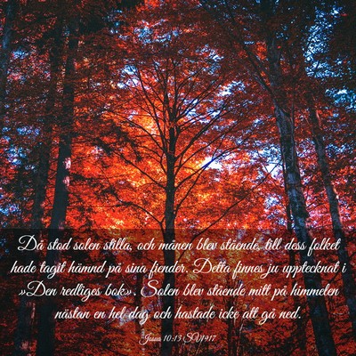 Picture 03 - Josua 10:13 SV1917 - Då stod solen stilla, och månen blev stående, - Bible Verse Picture